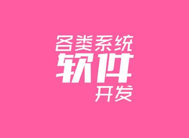 進(jìn)入了解各類(lèi)系統(tǒng)、軟件開(kāi)發(fā)